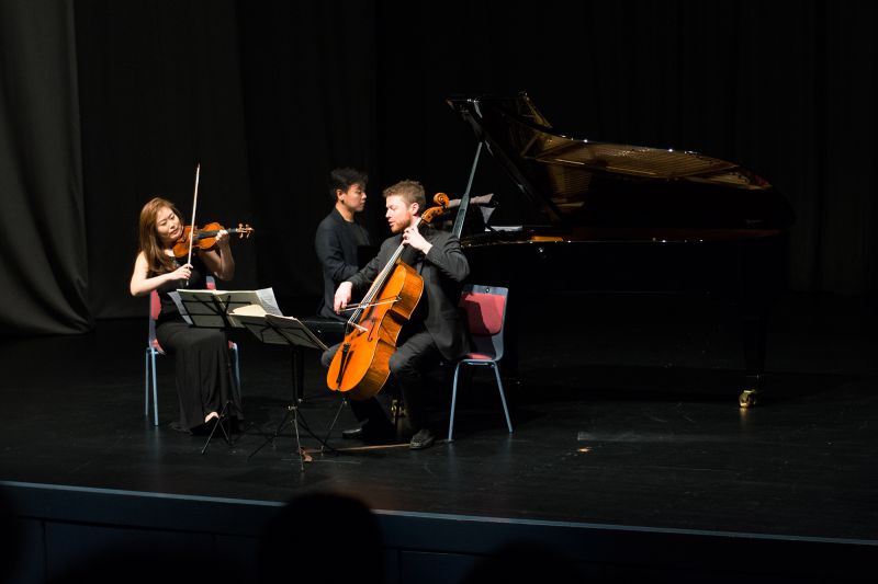 Datei:16 DSC 5581 Trio Gaon neu.jpg
